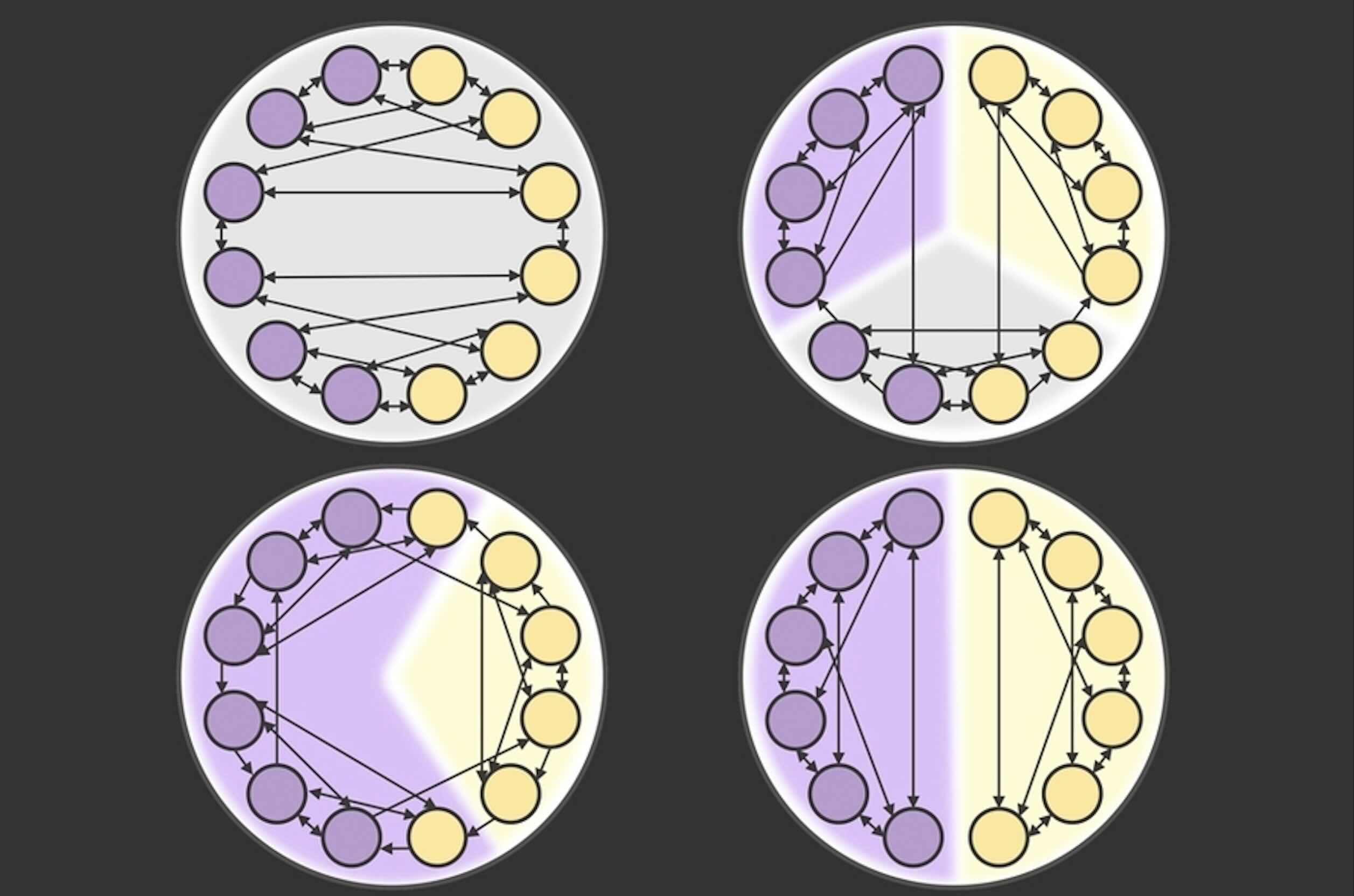 Digital gerrymandering illustration